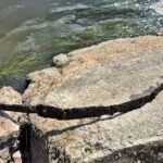 A fisherman stumbled upon a medieval sword possibly linked to the Knights Templar in Warsaw’s Vistula River - experts now analyzing the rare, centuries-old artefact.