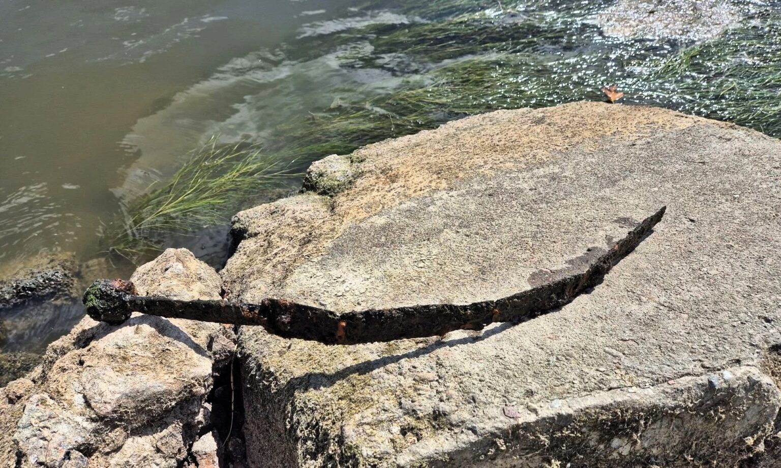 A fisherman stumbled upon a medieval sword possibly linked to the Knights Templar in Warsaw’s Vistula River - experts now analyzing the rare, centuries-old artefact.