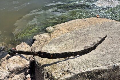A fisherman stumbled upon a medieval sword possibly linked to the Knights Templar in Warsaw’s Vistula River - experts now analyzing the rare, centuries-old artefact.
