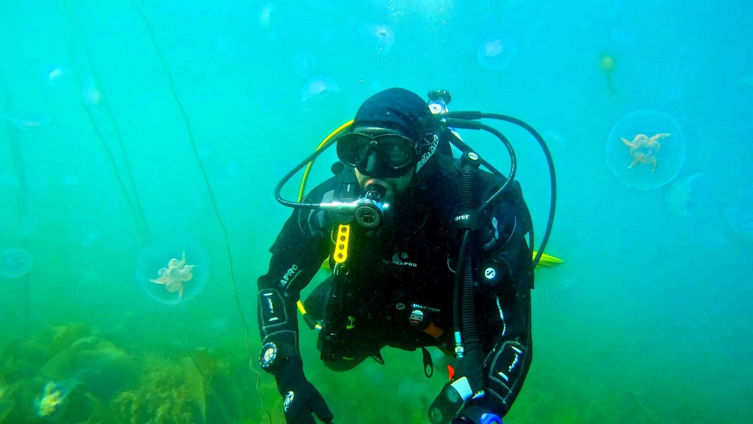 Treasure hunter James Clarke surrounded by swarms of stinging jellyfish during epic dive in Brixham, as UK heatwave sparks dramatic surge in compass and lion's mane blooms.