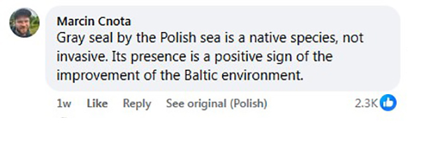 Social media comment on the post of Curious seal stuns beachgoers as it waddles through crowds in Gdańsk, Poland – authorities evacuate area for safety as the native marine mammal returns to the sea.