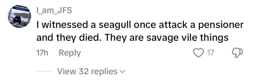 Cheeky seagulls were caught on camera raiding a Wetherspoons meal in Great Yarmouth, swooping in and stealing food as shocked punters watched the chaos unfold.