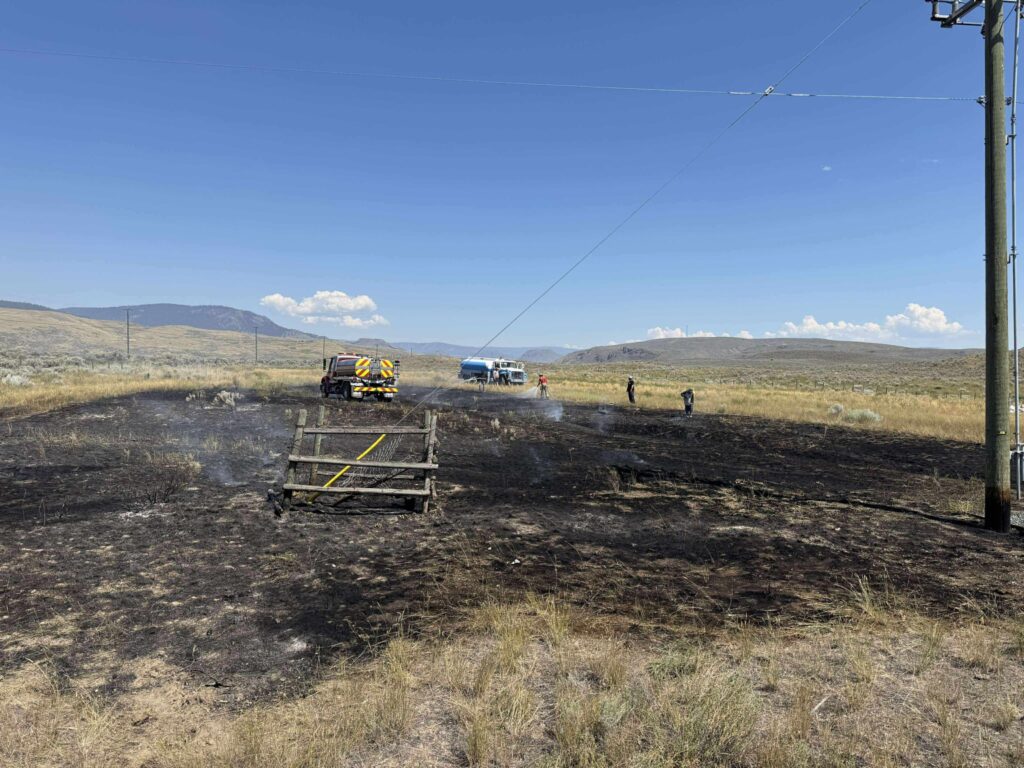 A bushfire and blackout hit Ashcroft, Canada, after an osprey dropped a fish on a power line, sparking flames and cutting power to 1,500 people. The bird escaped unscathed.