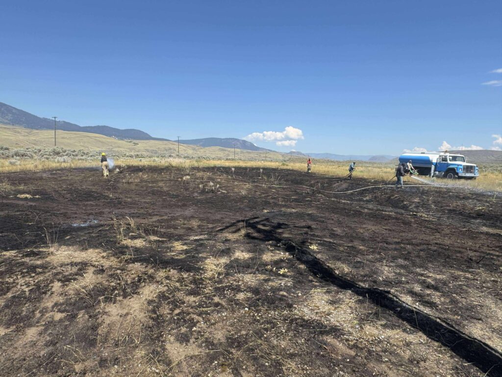 A bushfire and blackout hit Ashcroft, Canada, after an osprey dropped a fish on a power line, sparking flames and cutting power to 1,500 people. The bird escaped unscathed.