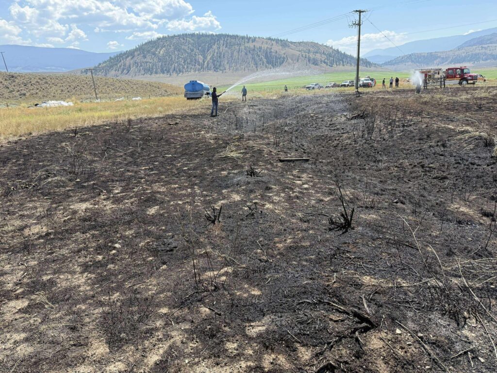 A bushfire and blackout hit Ashcroft, Canada, after an osprey dropped a fish on a power line, sparking flames and cutting power to 1,500 people. The bird escaped unscathed.