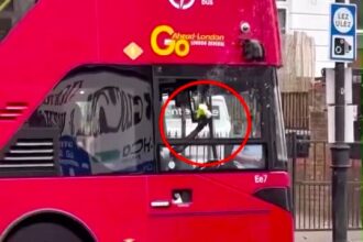A London bus driver delighted commuters by using a bubble gun to fill the street with bubbles in Stoke Newington spreading joy during his route and brightening mornings.