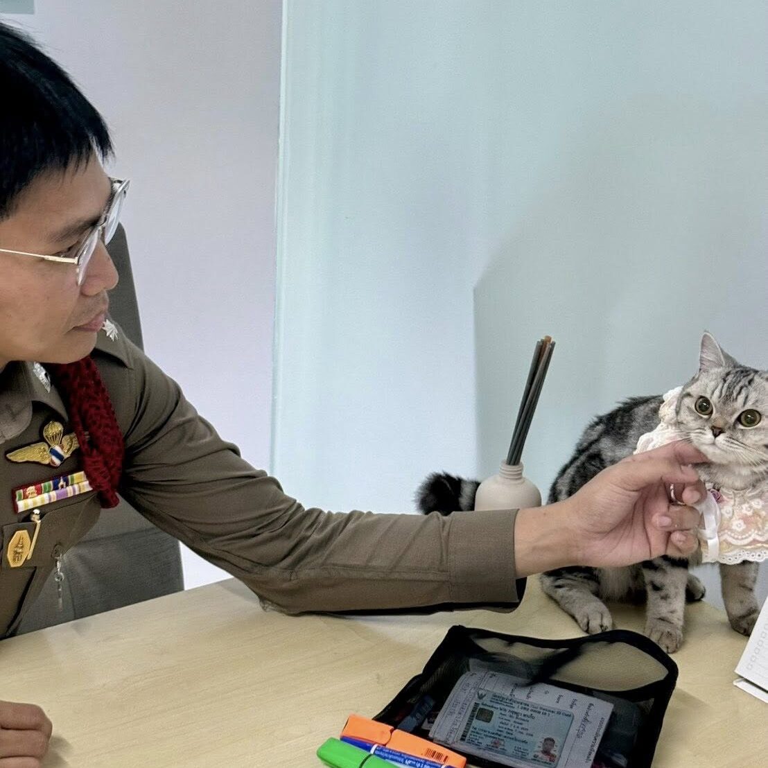 A cat named Nub Tang went viral after being 'arrested' for attacking police officers, posing for a mugshot, and later giving birth to a litter of kittens.