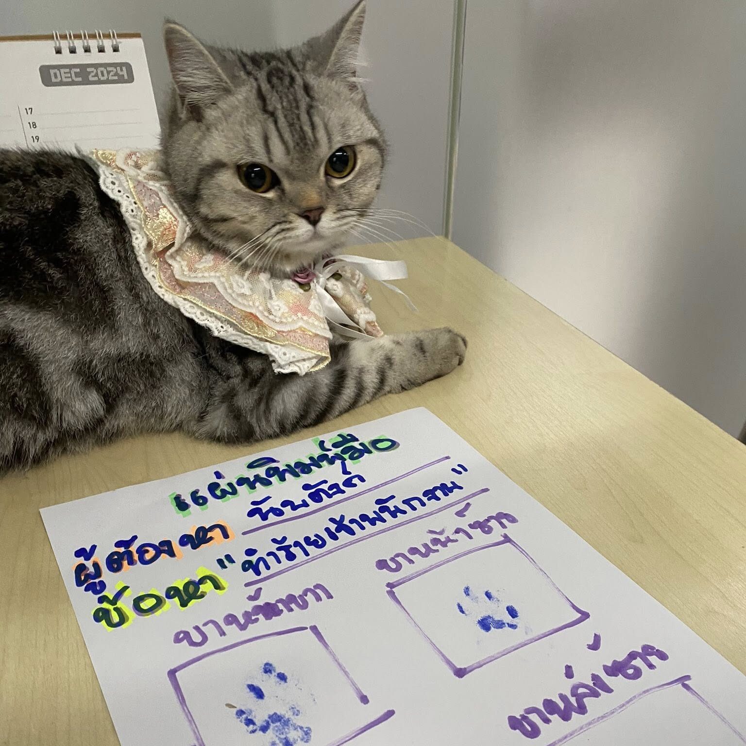 A cat named Nub Tang went viral after being 'arrested' for attacking police officers, posing for a mugshot, and later giving birth to a litter of kittens.