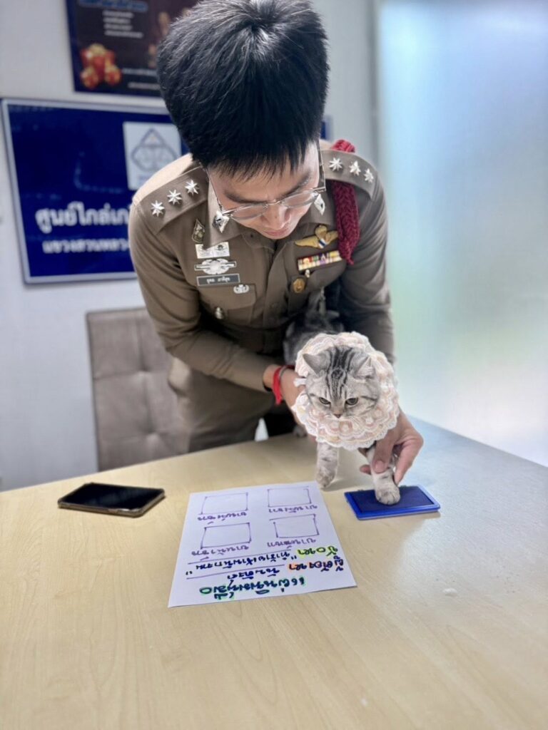 A cat named Nub Tang went viral after being 'arrested' for attacking police officers, posing for a mugshot, and later giving birth to a litter of kittens.