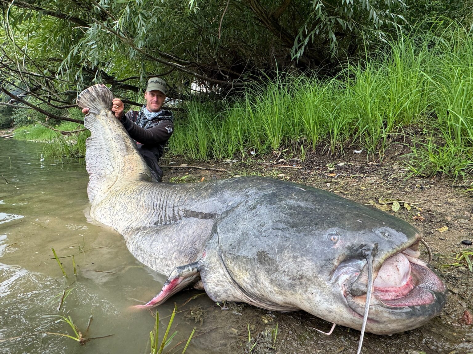 Celebrity angler Jakub Vágner set a Czech record with an 8.8ft catfish after a near-deadly struggle that saw him bitten, dragged into the water, and still land the giant.
