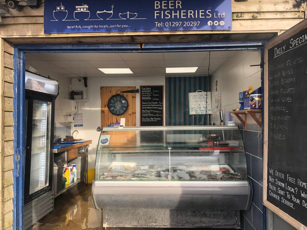 Rare one-in-a-million bright blue lobster caught off south west coast - striking crustacean spotted among catch at Dorset fishmonger due to unique genetic mutation.