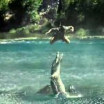 Columbia Sportswear dangled a man 300ft over an alligator swamp using trousers as a rope to prove their strength in a daring stunt for their bold new ad campaign.