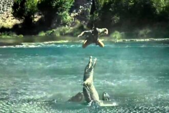 Columbia Sportswear dangled a man 300ft over an alligator swamp using trousers as a rope to prove their strength in a daring stunt for their bold new ad campaign.