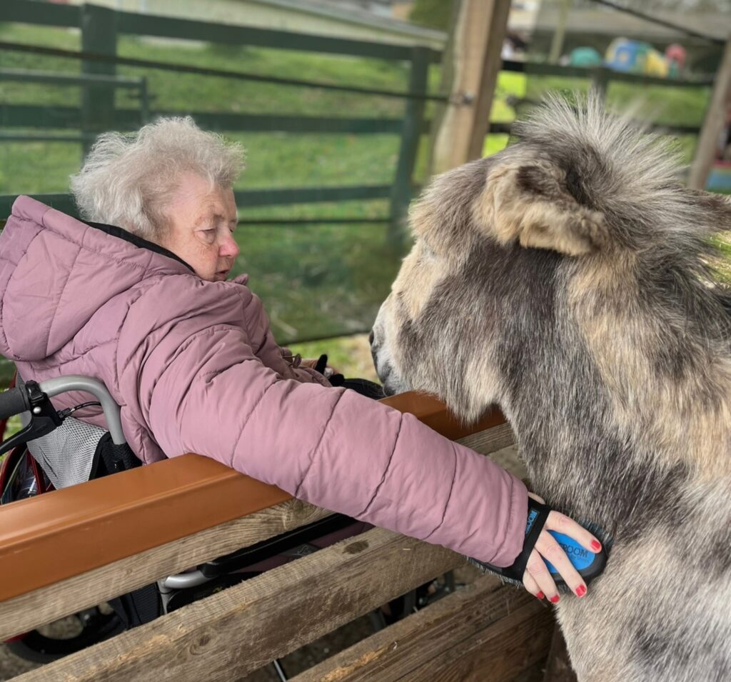 Donkey leads funeral procession of 78-year-old Val Mortimer in Wiltshire as touching tribute to her lifelong love of the gentle animals and support for donkey charities.