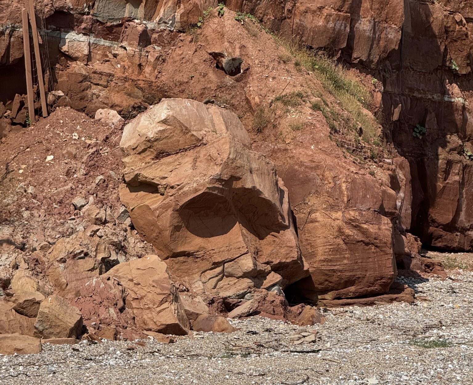 A 13ft Neanderthal-like face has mysteriously appeared on a cliff in Sidmouth, Devon. Though it looks hand-carved, the eerie formation is entirely natural.