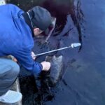 A giant 11lb sea slug caught off South Korea has gone viral with over 20 million views, stunning viewers with its size and odd appearance before being safely released.