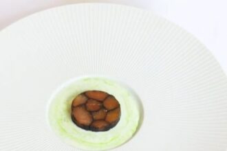 Gordon Ramsay has been mocked after his Michelin-starred Pétrus restaurant served a tiny £72 salmon dish - with critics joking it looked like cat food despite his praise.