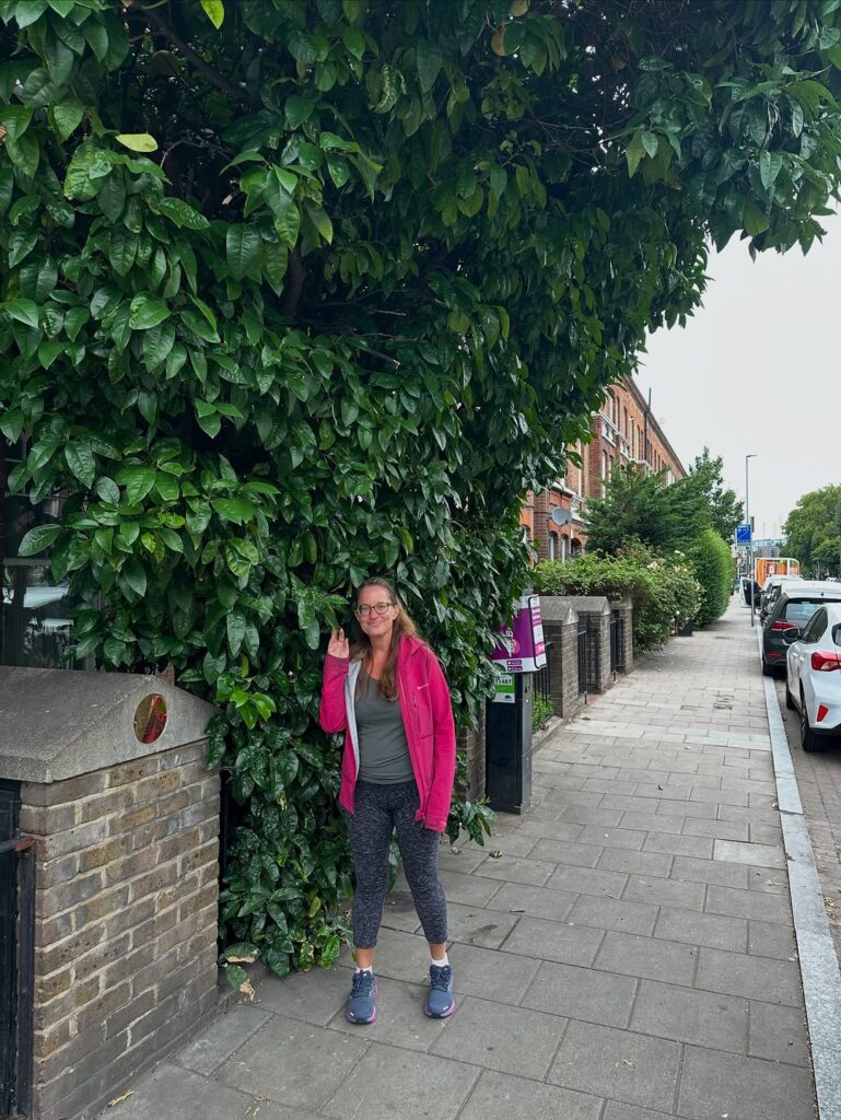 A rare grapefruit tree in Battersea planted in the 1980s by the late Marline Anderson has been given a preservation order after a community campaign to honour her memory.