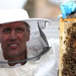 Happy Mondays legend Bez reveals he downs a gallon of honey every month after giving up sweets as the 61-year-old beekeeper calls his favourite honey snack like “dropping acid”.