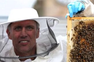 Happy Mondays legend Bez reveals he downs a gallon of honey every month after giving up sweets as the 61-year-old beekeeper calls his favourite honey snack like “dropping acid”.