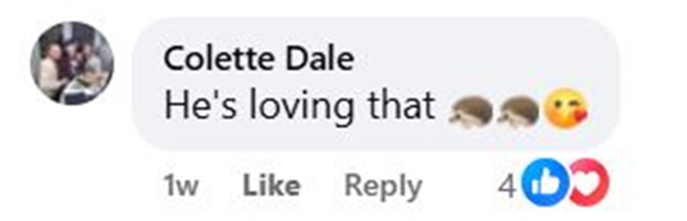 Social media comment on the post of A rescued hoglet enjoyed a warm medicated bath and gentle back scrub at Shelley Hedgehog’s Rescue in Huddersfield. Found abandoned, it will be released back into the wild soon.