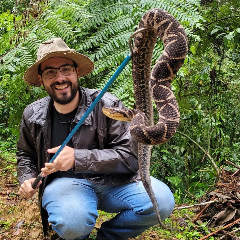 A giant non-venomous snake was found in a baby’s cot in Brazil. The infant was unharmed as experts safely removed and released the rare chicken snake back to the wild.