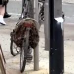A huge swarm of bees covered a parked bike on Manchester’s Market Street prompting hours long removal by professionals as stunned locals and tourists watched the bizarre scene.