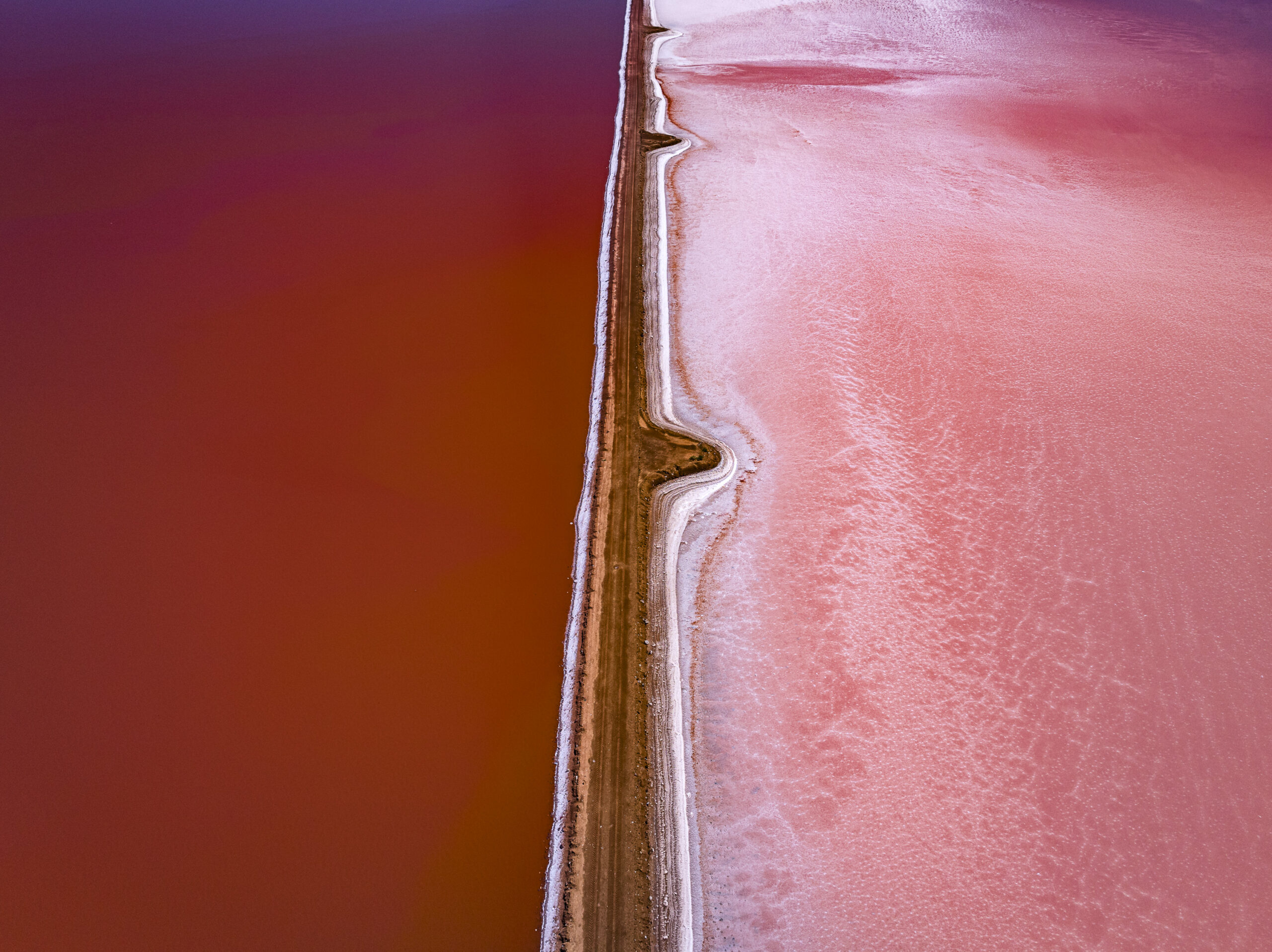 An aerial photo of a spinner shark hunting menhaden fish has won the International Aerial Photographer of the Year Award, showcasing breathtaking marine life from above.