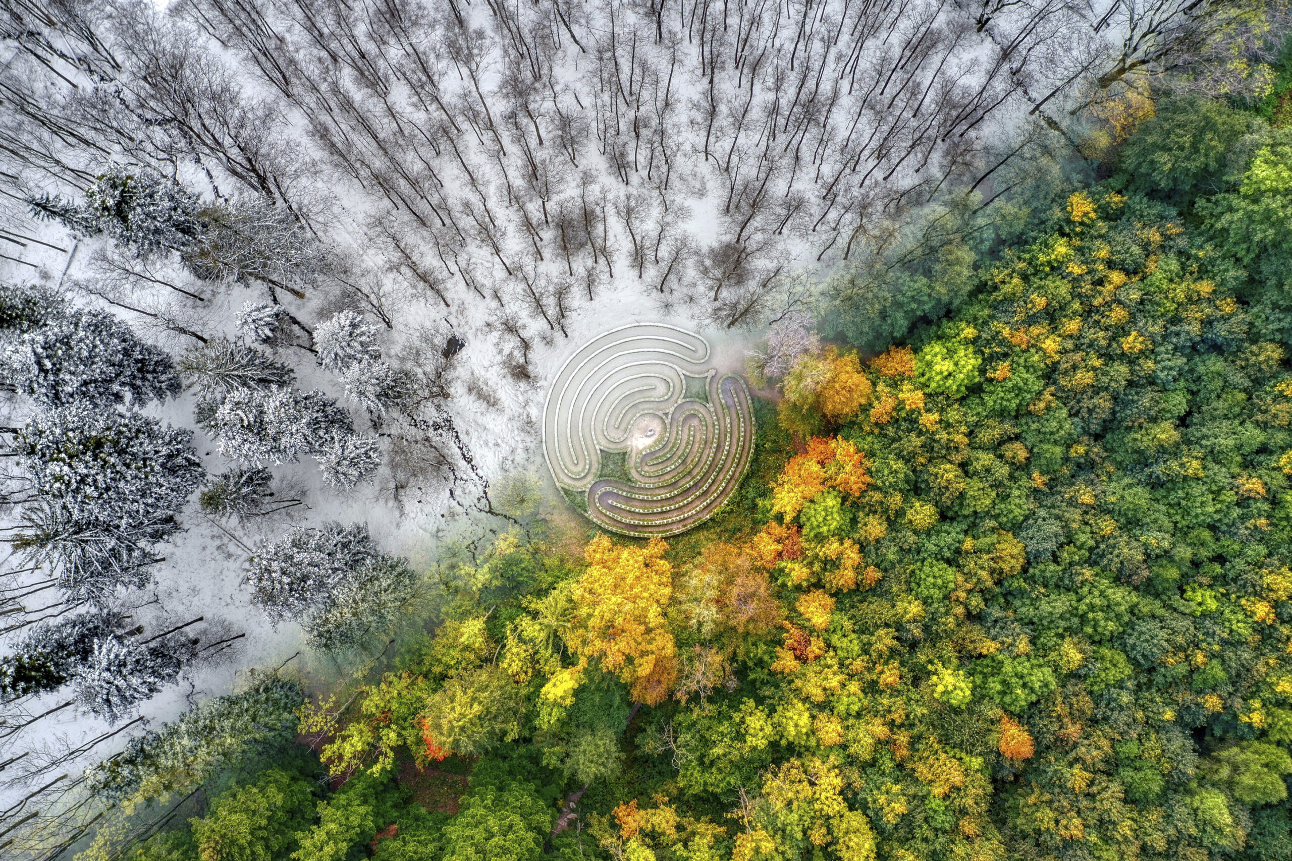 An aerial photo of a spinner shark hunting menhaden fish has won the International Aerial Photographer of the Year Award, showcasing breathtaking marine life from above.