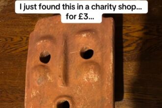 A £3 charity shop find turned into gold for Kyle Taylor, who discovered his quirky stone mask is a 1960s Italian terracotta piece worth over £900 online.