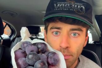 Man spends £75 on luxury grapes from Harrods and shares emotional TikTok review as the fruit surprises him with blueberry like taste and goes viral with millions of views.