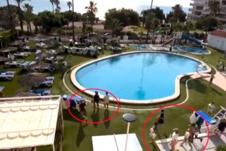 A dad on his first all inclusive holiday went viral after filming the chaotic daily sun bed wars at a Spanish hotel, comparing the stampede to a David Attenborough scene.