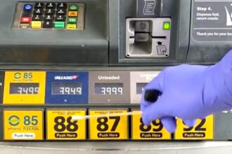 Microbiologist Nicholas Aicher tested petrol pump handles on TikTok and revealed shocking bacteria growth, sparking viral reactions and calls to use gloves at stations.