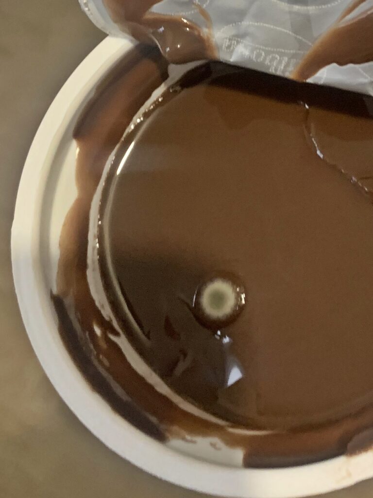 A student was left disgusted after allegedly finding mould in a sealed in date Lidl Milbona protein pudding prompting her to swear off the snack despite being a daily treat.