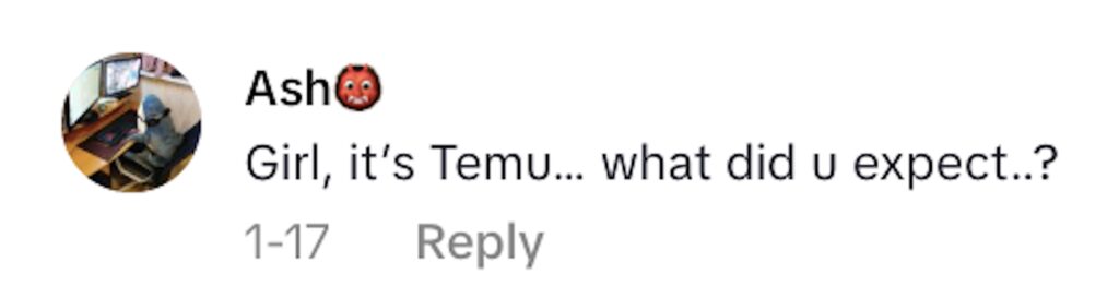 Social media comment on the post of Mum left baffled after Temu baby shower order turns out to be a flat polyester sheet printed with a door and bow instead of the 3D decoration she expected for $9.63.