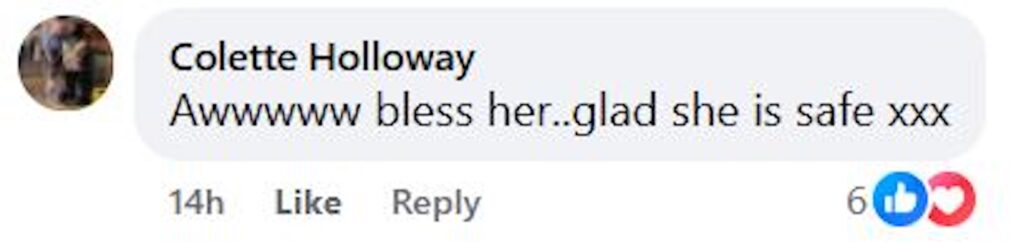 Social media comment on the post of A rare osprey in Scotland had to take shelter after a gust of wind knocked part of her nest onto her head during Storm Floris. Thankfully, the bird was uninjured and found a safer spot.