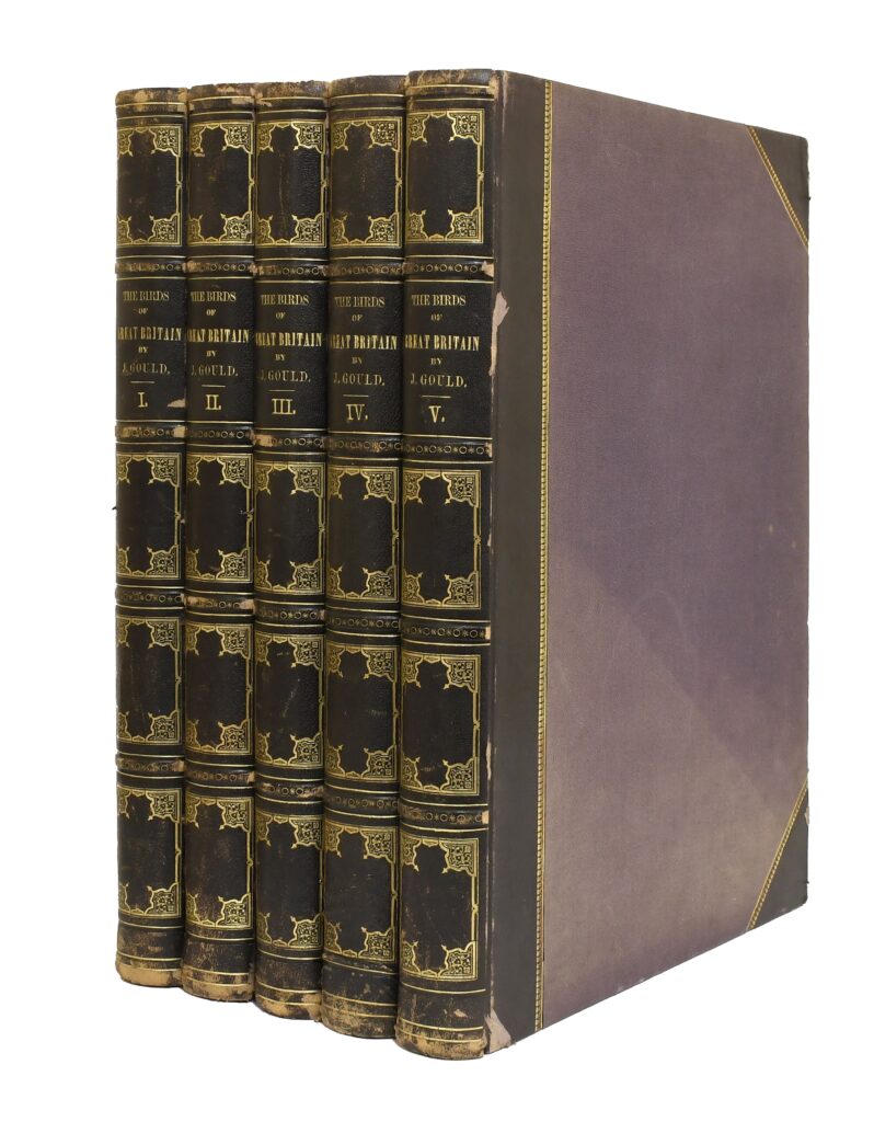 A rare first edition of John Gould's The Birds of Great Britain, featuring 367 hand-coloured lithographs, is up for sale at £35,000 in North Yorkshire this August.