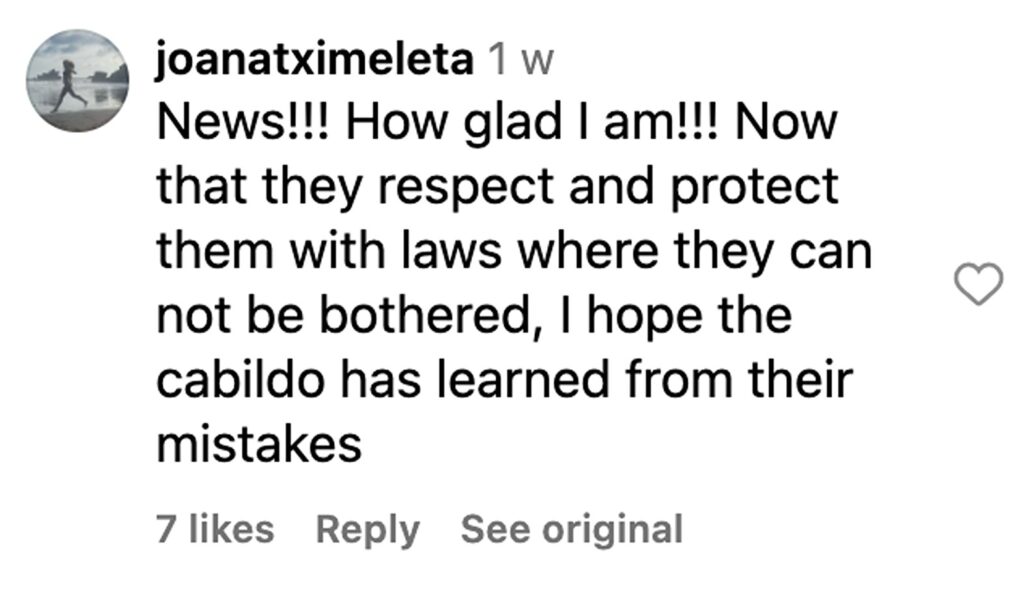 Social media comment on the post of Endangered smalltooth sand tiger shark spotted off El Hierro in Canary Islands for first time since 2019 - rare pregnant females seen in shallow waters delight divers.