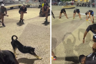 A stray dog stole the show in Brazil after hilariously joining runners’ warm-up stretches, copying their moves and delighting athletes led by marathon star Wilson Maina.