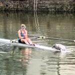 A rower on the River Dart in Totnes, Devon, had a surprise when a curious seal pup climbed onto her kayak. The rare encounter, five miles from the sea, was praised by experts.
