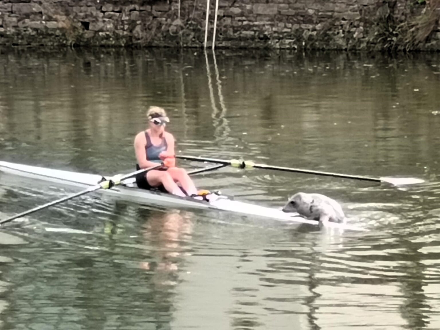 A rower on the River Dart in Totnes, Devon, had a surprise when a curious seal pup climbed onto her kayak. The rare encounter, five miles from the sea, was praised by experts.