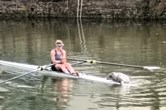 A rower on the River Dart in Totnes, Devon, had a surprise when a curious seal pup climbed onto her kayak. The rare encounter, five miles from the sea, was praised by experts.