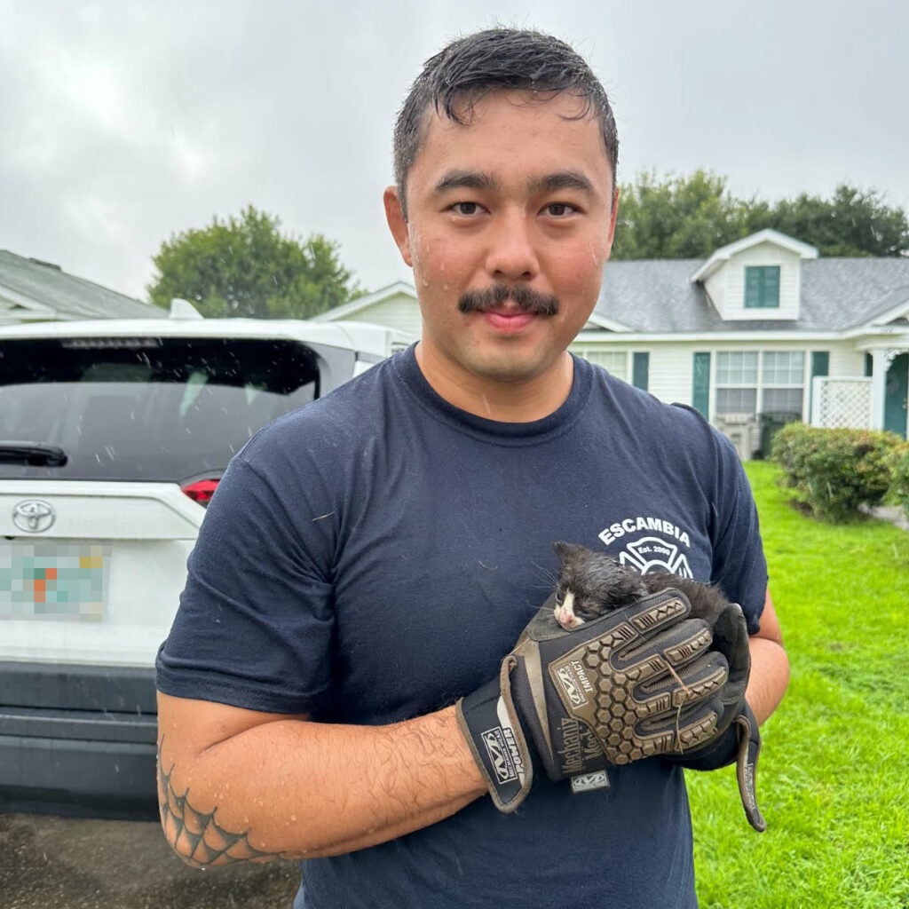 A kitten trapped in a car engine in Pensacola, Florida, was rescued by firefighters, who removed splash guards to reach it. One firefighter’s relative later adopted the kitten.