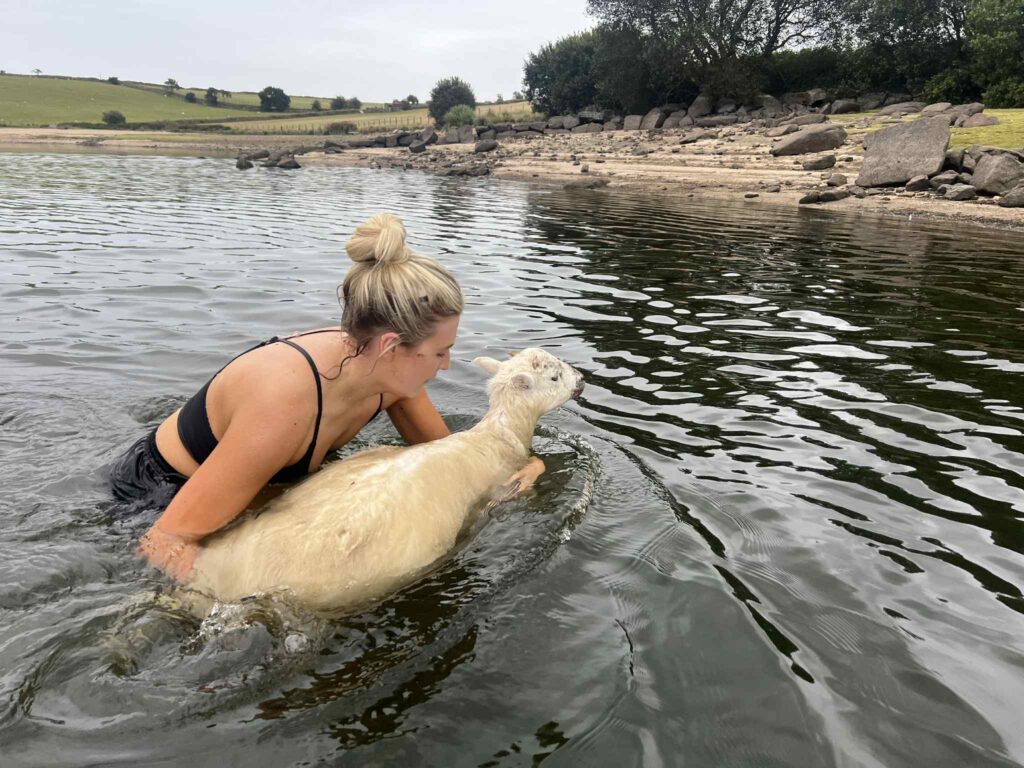 Three women training for the London Marathon rescued a drowning sheep in Cornwall’s Siblyback Lake after it fled a dog, bravely diving in to save its life.