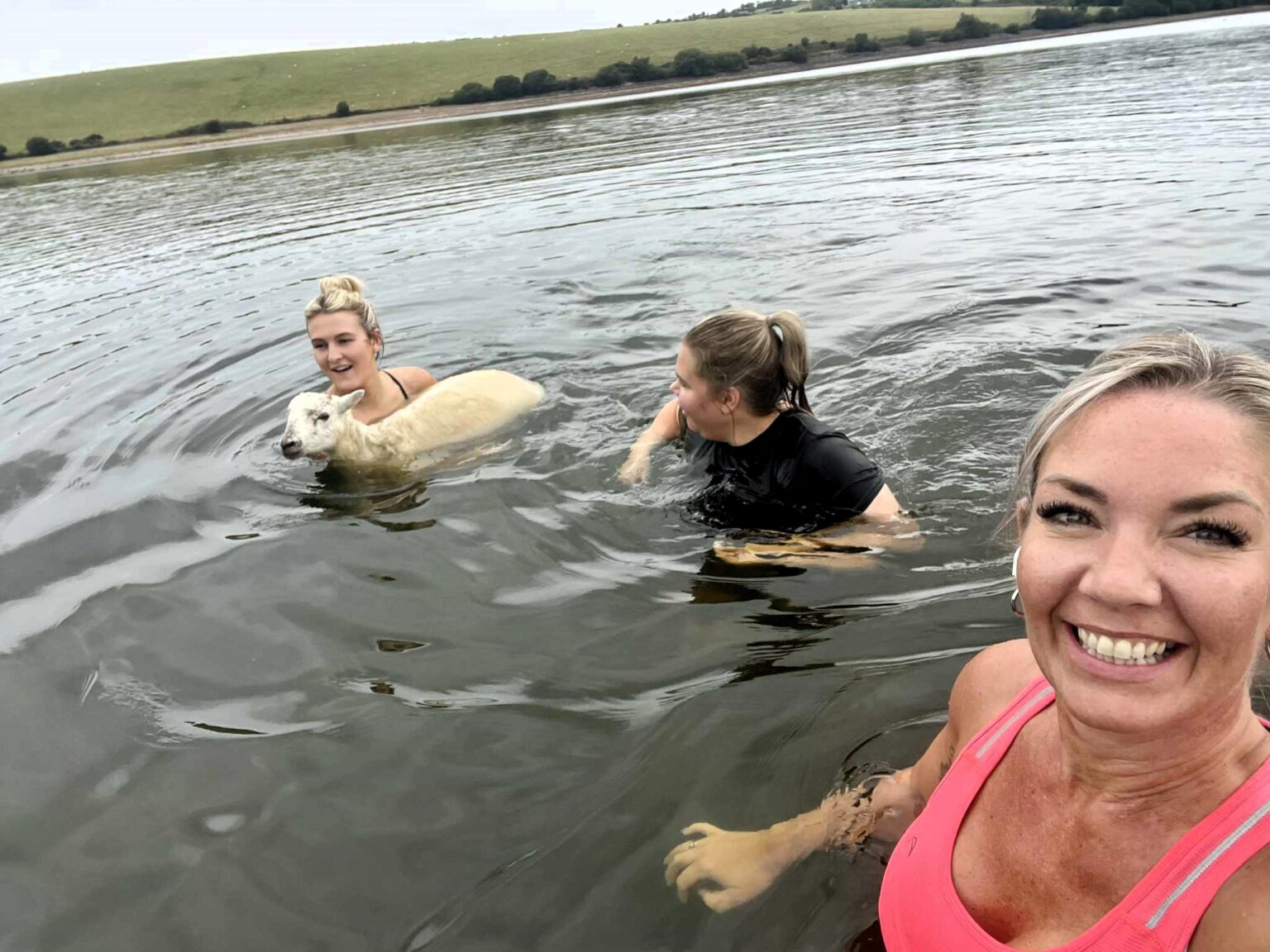 Three women training for the London Marathon rescued a drowning sheep in Cornwall’s Siblyback Lake after it fled a dog, bravely diving in to save its life.