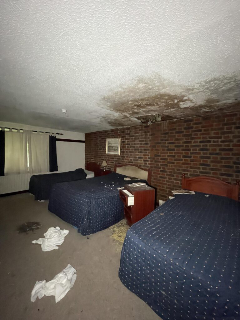 Urban explorer discovers abandoned Kent pub The Harrow left frozen in time since 2006 - mould covered rooms but booze and even a pint still remain on the counter.