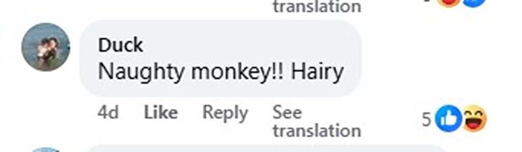Social media comment on the post of Cheeky monkey hijacks Taiwan livestream at Zengwen Dam - furry prankster tilts camera to film alleged accomplice as clip goes viral with thousands of amused viewers.