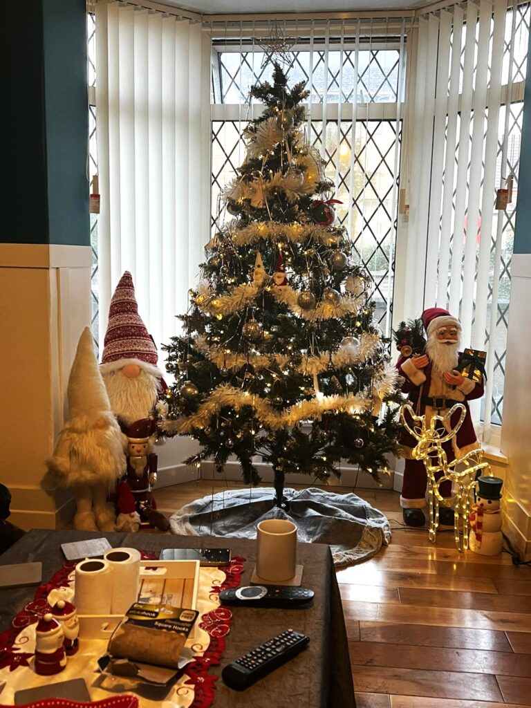 Christmas loving mum of five Cassie Needle has already put up her festive tree in September saying it brings joy to her family and neighbours despite critics calling it too early.
