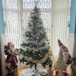 Christmas loving mum of five Cassie Needle has already put up her festive tree in September saying it brings joy to her family and neighbours despite critics calling it too early.