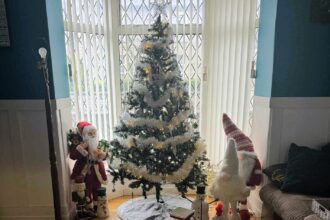 Christmas loving mum of five Cassie Needle has already put up her festive tree in September saying it brings joy to her family and neighbours despite critics calling it too early.